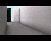 HxHippy csgo counter strike chickens lots of chickens GIF