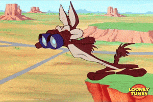 Cartoon gif. Wile E Coyote from Looney Tunes is looking around intently at the canyon with binoculars. 