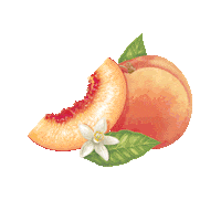 Happy Hour Cheers Sticker by Ketel One