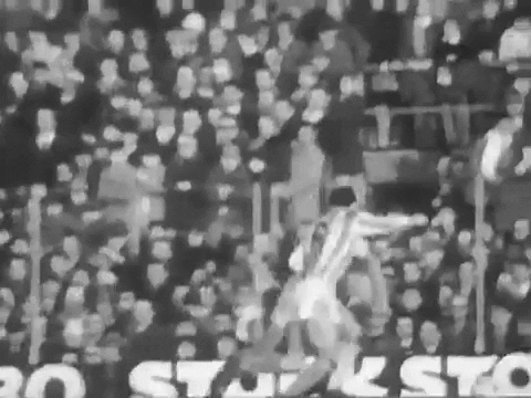 robertocartaf1f8 giphygifmaker GIF