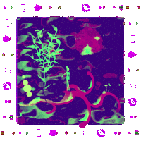 Animation Glitch Sticker
