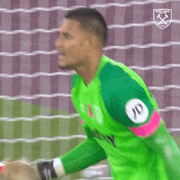 Save Come On GIF by West Ham United