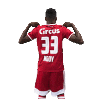 Football Soccer Sticker by Standard de Liège