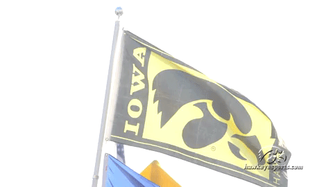 Iowa Hawkeyes Football GIF by University of Iowa Hawkeyes Athletics