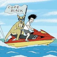 code black festival GIF by Hard Island