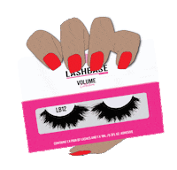 Striplashes Sticker by LashBase