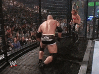 wwe sports wwe wrestling summerslam GIF