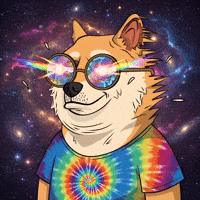 Shiba Inu Wow GIF by Doge Pound