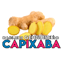 agriculturaes agricultura capixaba seag gengibre Sticker
