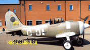Fighter Jet Speed GIF by HOSSDESIGNUSA