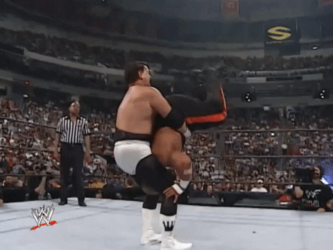 The King Wrestling GIF by WWE