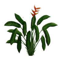 Heliconia Sticker by Mandai Wildlife Reserve