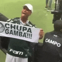 portalverdao palmeiras corinthians sep verdão GIF