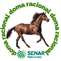 senar_mt agro doma senar mt doma racial Sticker