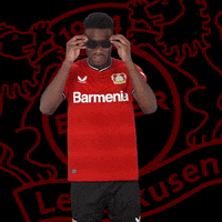 Sunglasses Pose GIF by Bayer 04 Leverkusen