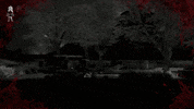 video game wtf GIF by White Owls Inc