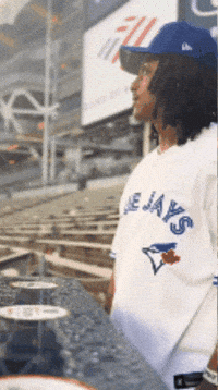 Blue Jays Baseball GIF