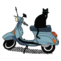 Black Cat Love Sticker