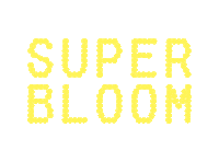 Happy Summer Sticker by BOXYCHARM