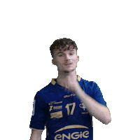 MassyEssonneHB mehb Sticker