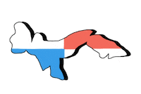 pepsicocaricam pepsico pepsico caricam pepsicocaricam pepsico life Sticker