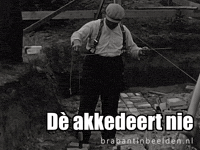Brabant Klussen GIF by BrabantinBeelden