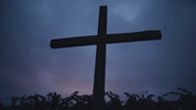 GIF by Northwood Church