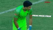 Timnas GIF by PSSI
