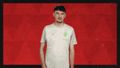 Werder Bremen Football GIF by Bundesliga