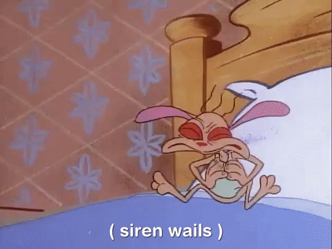 ren and stimpy nicksplat GIF