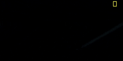may 27 season 1 GIF by National Geographic Channel