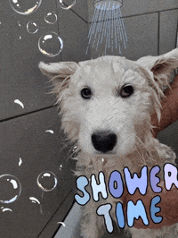 Water Bathing GIF