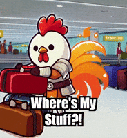 Vacation Wheres My Stuff GIF by Zorooster