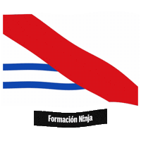 Castilla Y Leon Flag Sticker by Formación Ninja