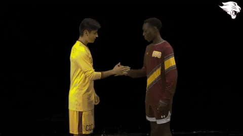 Cuc19 D3Soc GIF by CUCougars