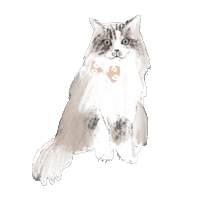 Cat Neville Sticker by Andrea Caceres