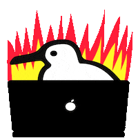 Fire Work Sticker by newhollandisland