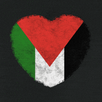 Palestine Gaza GIF by yux