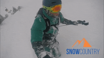 Snowcountry snow ski powder freeride GIF