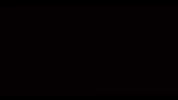 GIF by Signature Entertainment