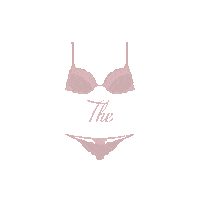 Lingerie Sticker by The Little Drawer