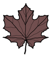 Fall Orange Sticker by chiara