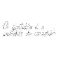 Frases Sticker
