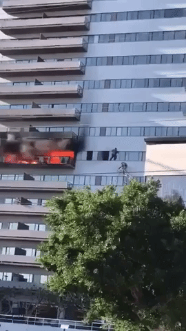 Firefighter Rescues Person Hanging Off Burning High-Rise in LA