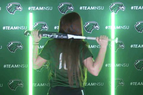 Softball GIF by RiverHawk Sports
