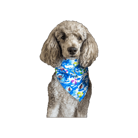 Land Shark Jeff Sticker by Geekster Pets