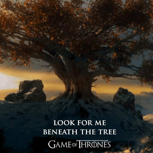 hbo tree GIF by Game of Thrones