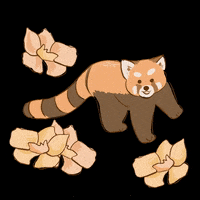 Miyzzzz happy flower mood animal GIF