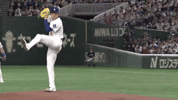 Los Angeles Dodgers Sport GIF by MLB
