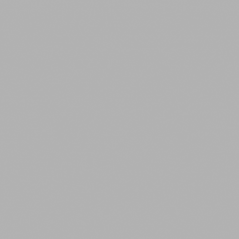 gracielargo graciejiujitsulargo gracielargobjj gracielargo teamzapata GIF